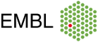EMBL